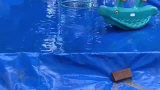 A Backyard Splash Pad