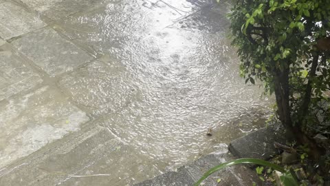 Heavy raining in Kathmandu Nepal