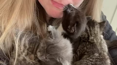 Cuddling With Litter of Kittens Gets Intense