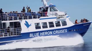 Blue Heron 8 Cruising