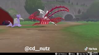 Shinys on top of Shinys! Pokémon Sword and Shield