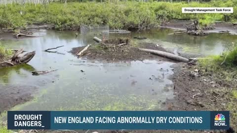 Federal Government Declares Parts Of New England 'Natural Disaster Areas' Due To Dry Conditions