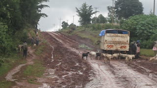 The truck got stuck in Africa