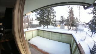 7510 Island St, Anchorage, AK Video