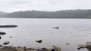 Oak Fork Picnic Day Use Area & "In Memoriam" Bench – Timothy Lake – Mount Hood – Oregon – 4K