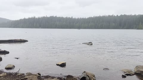 Oak Fork Picnic Day Use Area & "In Memoriam" Bench – Timothy Lake – Mount Hood – Oregon – 4K