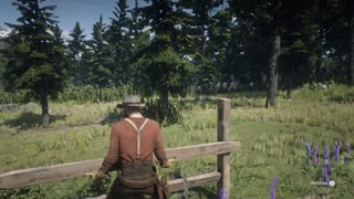 rdr2 walkthrough, farming for beginners