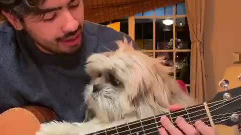 Man serenades his doggy with beautiful Spanish song