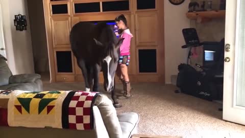 Horse Walks Inside House to Chill With Owner