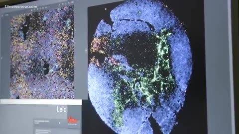 mRNA vaccine development against human avian influenza (H5N1) ⧸ Bird Flu