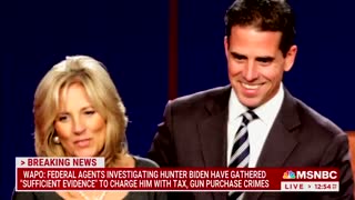 MSNBC Hunter Biden Narrative