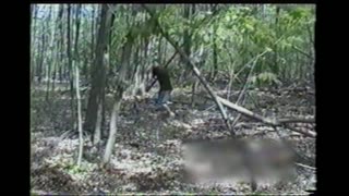 Teenager Breaks Stick On Tree, Flying Piece Hits Friend Behind Camera