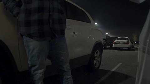 Sentry Camera Catches Someone Messing with Model 3