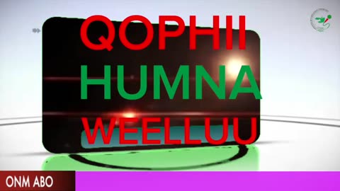 Qophii Humna Weellu Adoolessaa 24-2024 itti dhiyaadhaa!