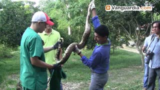 Liberan seis especies nativas en Sabana de Torres