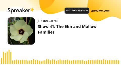 Show 41: The Elm and Mallow Families (part 1 of 3)