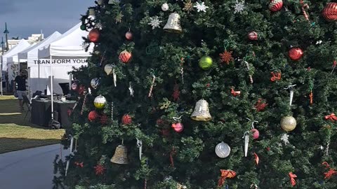 Christmas in Florida but still some really nice decorations. 12/10/23