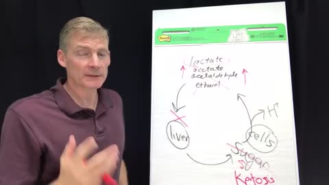 You have to know this if you are into health in any way. Lactic acidosis review. 163