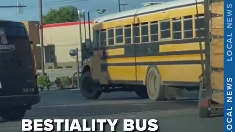 Bestiality Bus