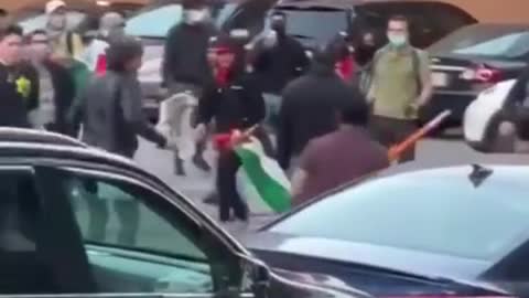 Pro-Israel Protestors Assaulted By Pro-Palestinian Protestors