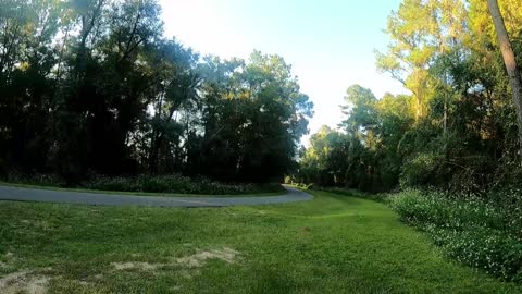 Hiking the Blue Run Dunnellon Park Paved Trail in Central Florida