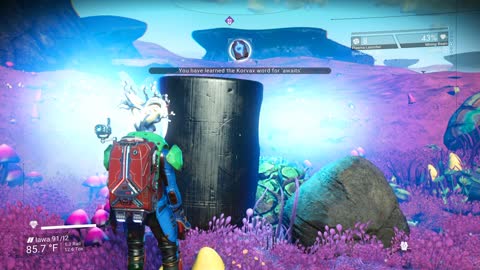 No Man's Sky Survival