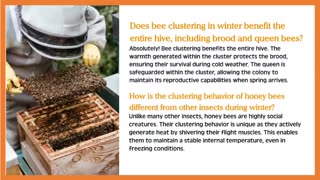 The Secret Power of Honey Bee Clustering in Winter: Unveiling Nature's Masterful Survival Strategy