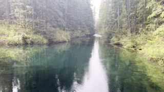 Admiring Clear Lake & The Start of McKenzie River in the Rain – Central Oregon – 4K