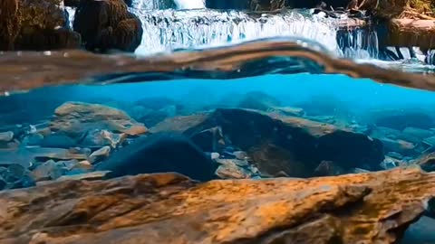 Nature | beautiful sea video | short | natures view