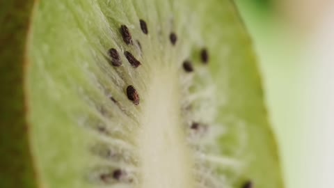 Kiwi Fruits Cutting #kiwi #cutting #fruitcutting