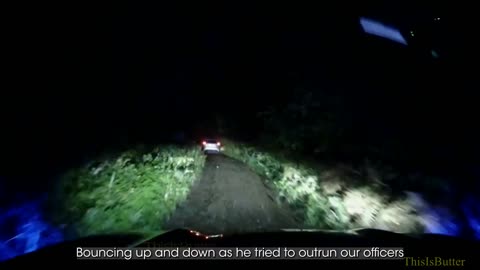 Driver rams police car during off-road chase before crashing into a tree and being arrested