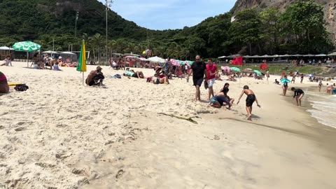 like comment and follow. Beautiful day at Copacabana beach Brazil | beach walk 4k