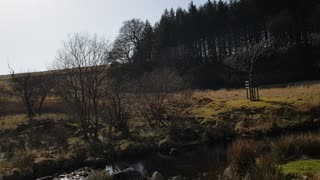 Ducks in Dartmoor. Riverside. Vlog