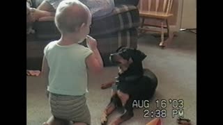 Dog And Toddler Girl Share Lollipop