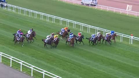 QUINTE + Go With The Wind - Prix de Grasse - Cagnes-sur-Mer - 12/02/2021