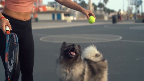 OMG ! Woman Playing tennis with Her Dog