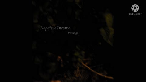 Negative Income - Passage [Full Album]