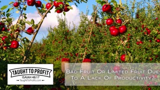 Bad Fruit Or Limited Fruit Due To Lack Of Productivity？