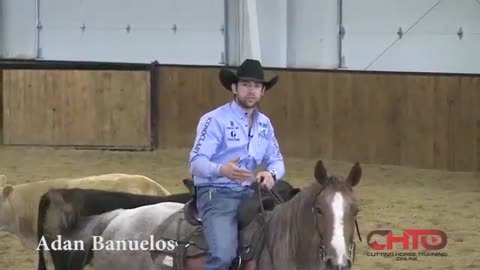 How To Train A Cutting Horses Mind with Ascencion Banuelos