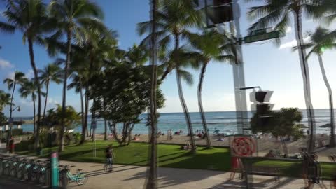 Waikiki Beach during City bus tour