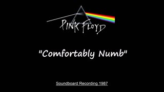 Pink Floyd - Comfortably Numb (Live in Miami, Florida 1987) Soundboard