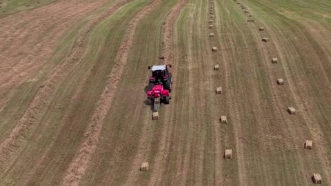 New Zealand farmers turn away from Ardern's party