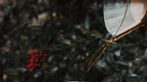 Green Tea in Garden