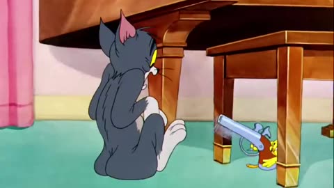Tom & Jerry fight😅😂😂🤣