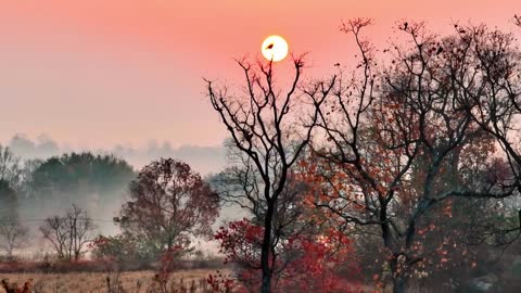 The most beautiful scenery in China is like a landscape painting 中國的美景如同山水水墨畫，美輪美奐