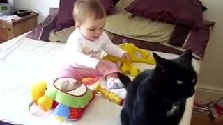 Baby husky with cat