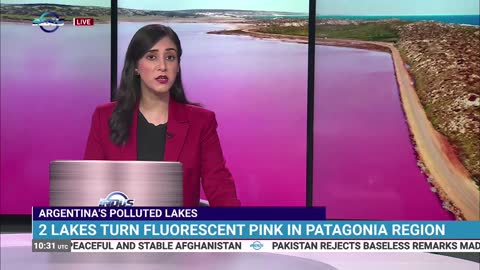 Argentina’s Polluted Lakes | Indus News