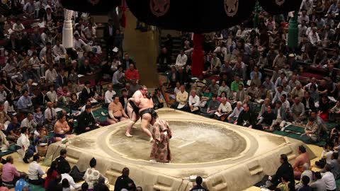 How to play SUMO like Japanese