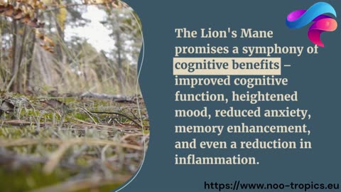 Unleash Your Mind with Lion's Mane: The Ultimate Nootropic Mushroom