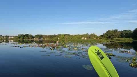 Kayak Fly fishing Review of Lake Idyl in Winter Haven, Florida